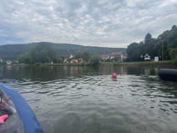 Mainschwimmen Juni 2026